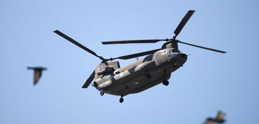 Chinook