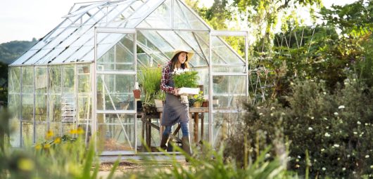 greenhouse