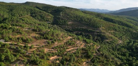 Portugal countryside