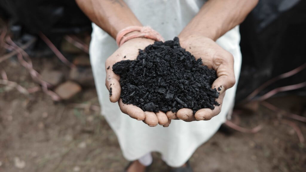 biochar