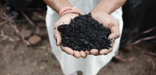 biochar