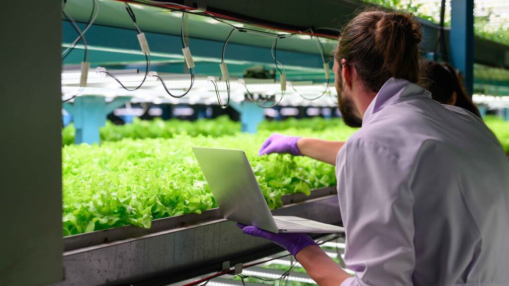 indoor farming agriculture