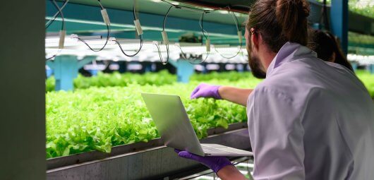 indoor farming agriculture